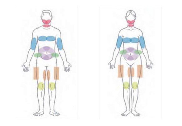 Diána Szépségstúdió zsírfagyasztás cryotec-női és férfi testrészek